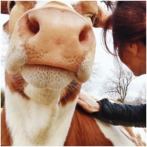 Meet your Posher, Lisa